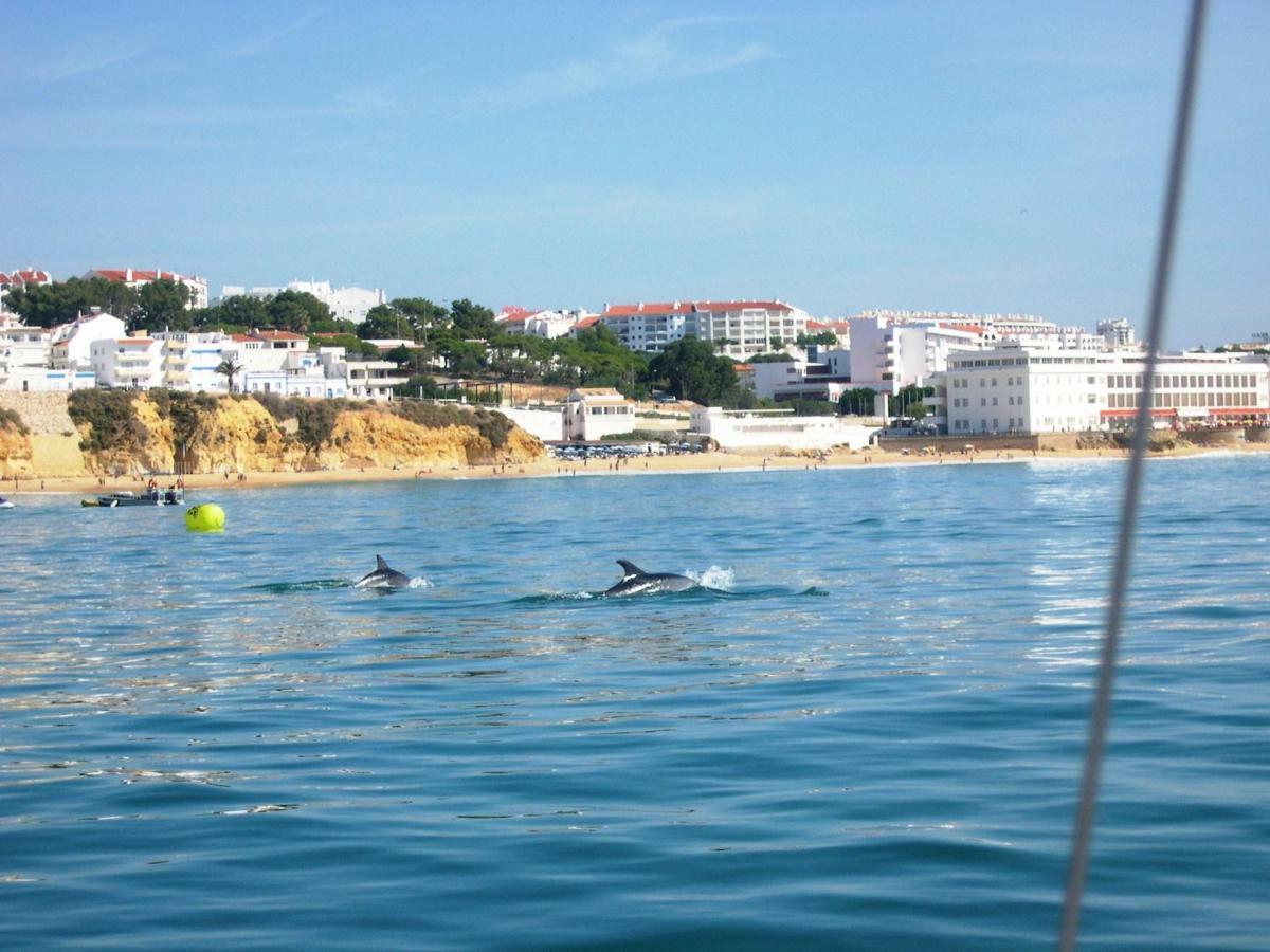 Villa Eber - Independent 1 & 2 Bedroom Apartments, Pool, Air Con, Fast Wi-Fi, Near Old Town Of Albufeira And Beaches Εξωτερικό φωτογραφία